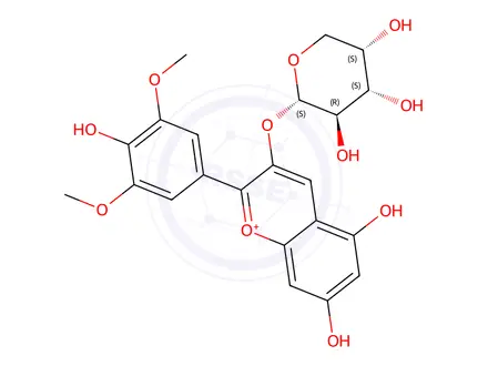 Chemical structure of Malvidin 3-O-arabinoside