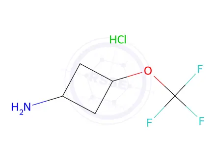 Chemical structure of trans-3-Trifluoromethoxy-cyclobutylamine hydrochloride