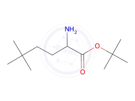 Chemical structure of tert-butyl 2-amino-5,5-dimethylhexanoate
