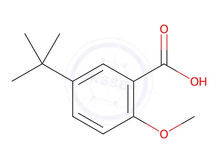 Chemical structure of 5-tert-Butyl-2-methoxybenzoic acid