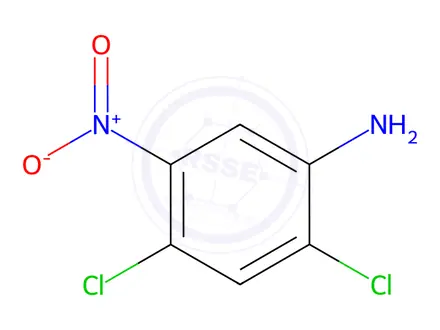 Chemical structure of 2,4-DICHLORO-5-NITRO-PHENYLAMINE