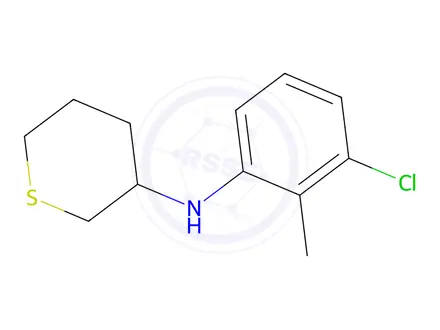 Chemical structure of n-(3-Chloro-2-methylphenyl)tetrahydro-2h-thiopyran-3-amine